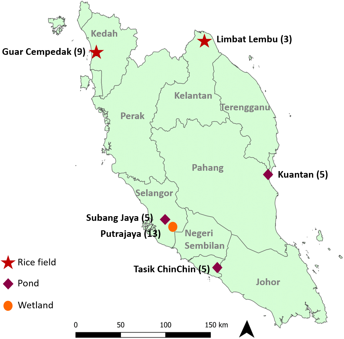 The efficiency of universal mitochondrial DNA barcodes for species 