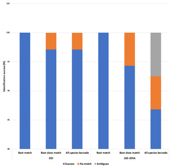 The efficiency of universal mitochondrial DNA barcodes for species ...