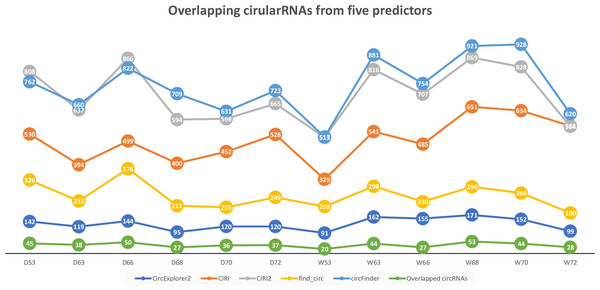 Number of circular RNAs that have been predicted by CIRI, CIRI2, CircExplorer2, find_circ, circFinder, and that are common between all prediction algorithms.
