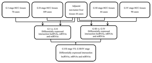 Flowchart for integrated bioinformatics analysis of HCC publicly available RNA sequencing datasets from TCGA database.