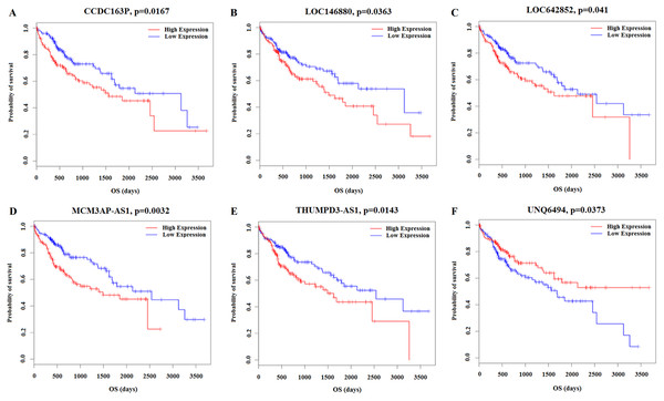 Kaplan–Meier survival curves for 6 lncRNAs associated with HCC patients overall survival time.