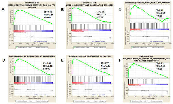 Three representitive new enriched pathways and three gene sets in the EAT group from GSEA analysis.
