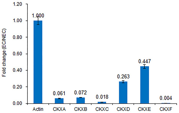 Expression of CKX genes validated by RT-qPCR.