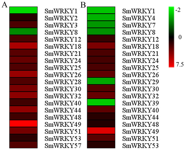 Expression profiles of the differentially expressed eggplant WRKY genes under cold stress.