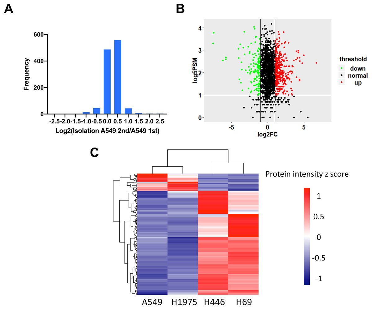 Comparative proteogenomics profiling of non-small and small lung ...