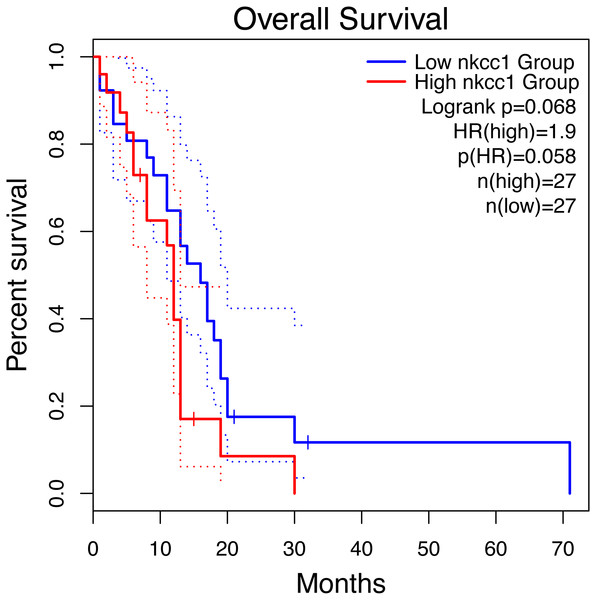 Impact of NKCC1 expression on overall survival in Mesenchymal GBM patients in TCGA cohort.