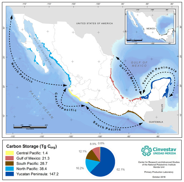 Mangroves Corg stocks by geographic regions of Mexico.