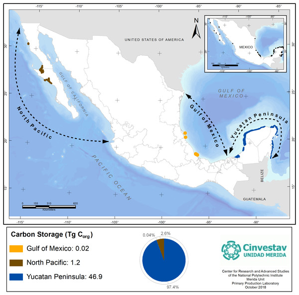 Seagrasses’s Corg stocks by geographic regions of Mexico.