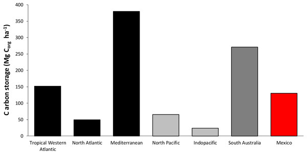 Worldwide average comparison of Corg stocks per unit of area in seagrasses.