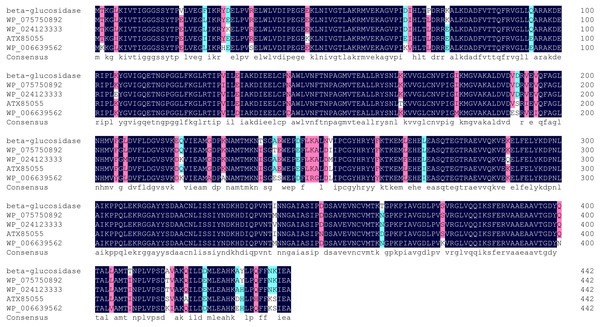 Multiple sequence alignment of Bteqβgluc with four bacterialβ-glucosidases from GH family 4.