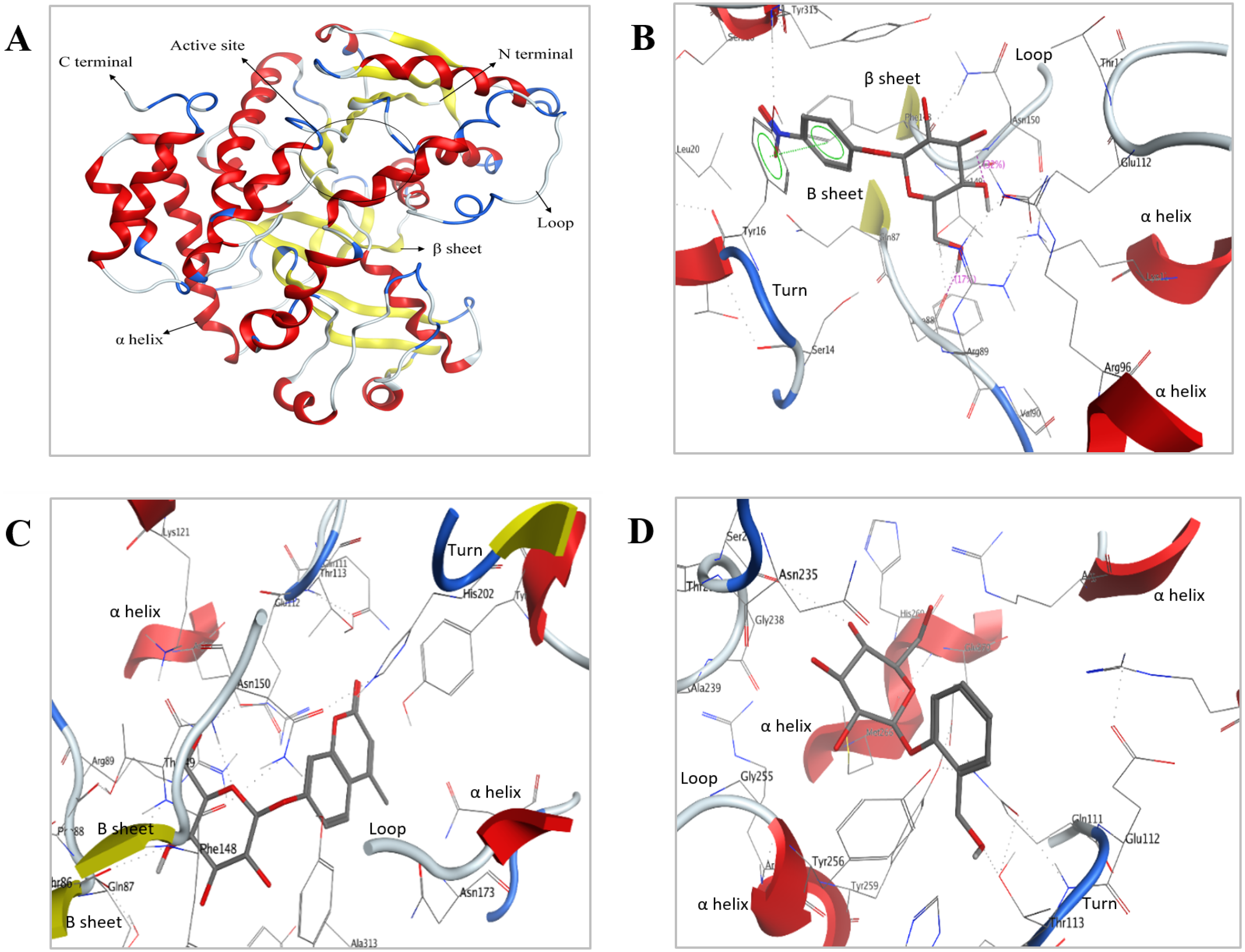 Identification And Functional Characterization Of A B Glucosidase From Bacillus Tequelensis 69 Expressed In Bacterial And Yeast Heterologous Systems Peerj