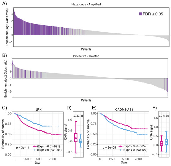 Enrichment of prognostic lncRNAs in genomic regions with copy number alterations.