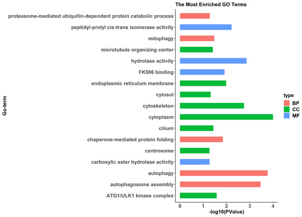 All Gene Ontology (GO) enrichment terms of all pseudomale highly expressed genes.