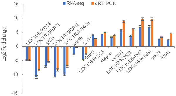 The relative expression levels of 16 selected DEGs by qRT-PCR and RNA-Seq.
