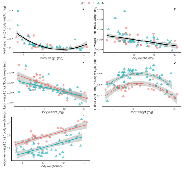 Relative weight investment in different adult Drino rhoeo body structures as a function of body size.