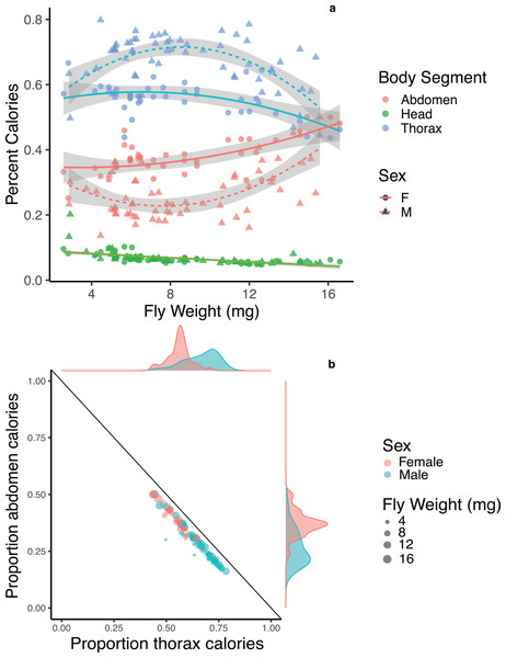 Energetic trade-offs in allocation to different body segments of adult Drino rhoeo.