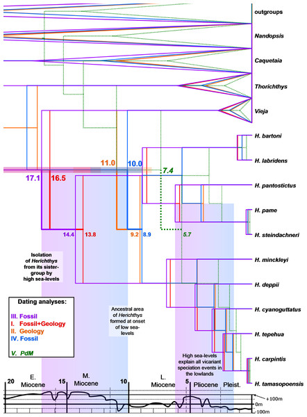Dated phylogenies of Herichthys from Starbeast.