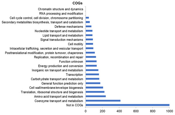 Number of genes assigned to COG categories for R. nectarea strain 8N4T.