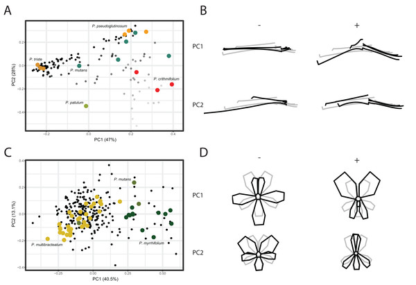 PCA analysis on TUBE and PETAL datasets.