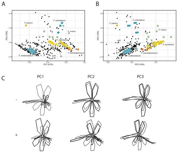 PCA analysis on VIRTUAL3D datasets.