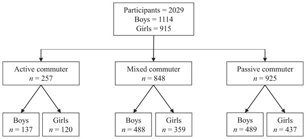 Flow chart of participants according to the mode of travel.