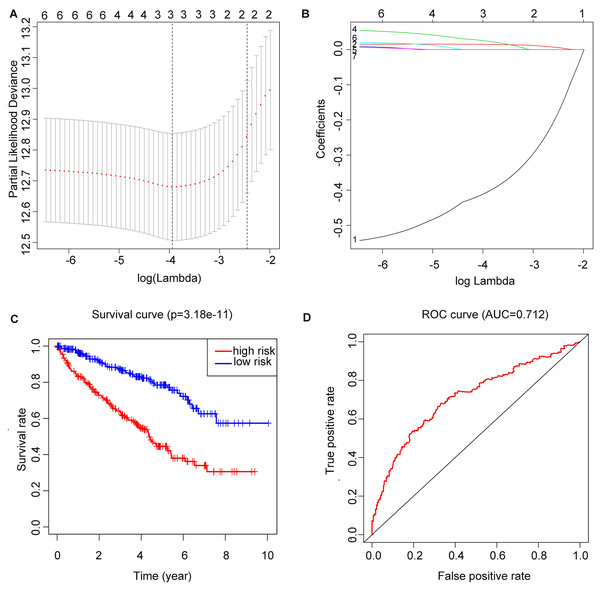 Construction of m6A related risk score model and assessment of its prognostic value.
