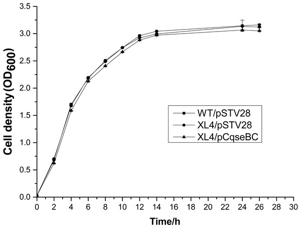 Growth curves of the wild-type strain WT/pSTV28, the mutant strain XL4/pSTV28, and the complement strain XL4/pCqseBC.