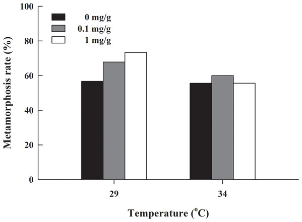 Metamorphosis rate of H. rugulosus tadpoles from treatments involving 2 temperatures × 3 letrozole concentrations.