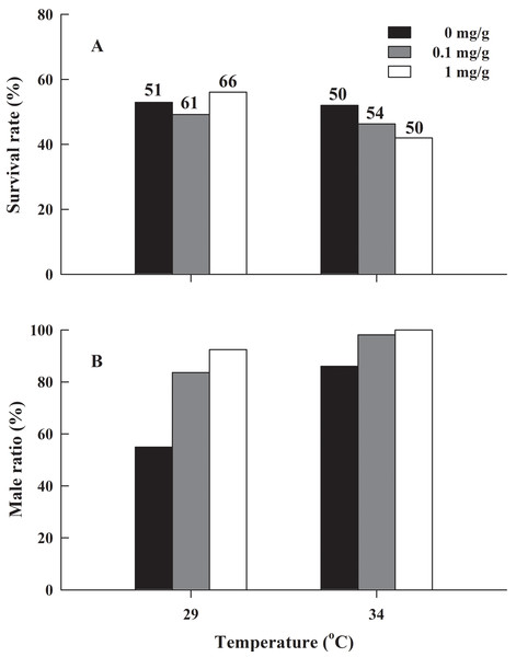 (A) Survival rate and (B) male ratio at 90 days after complete metamorphosis in H. rugulosus from treatments involving 2 temperatures × 3 letrozole concentrations.
