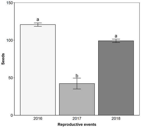 The reproductive event of 2017 presented the lower reproductive success by natural pollination.