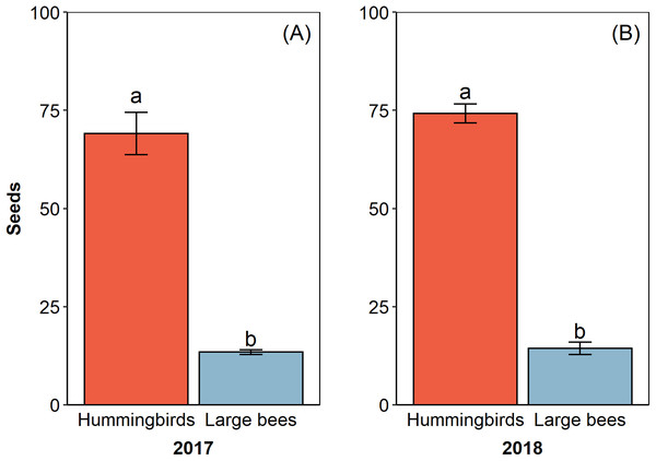 Hummingbirds had higher efficacy than large bees in two reproductive events.