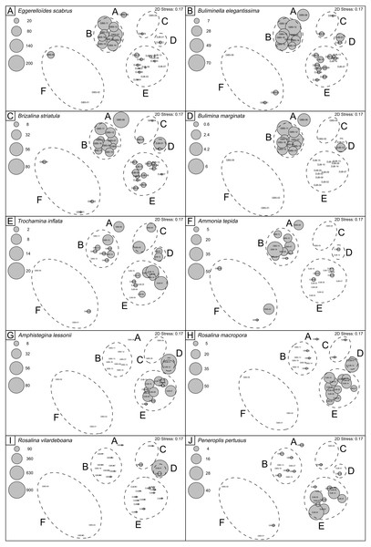 nMDS plots showing SIMPROF clusters and abundances of selected benthic foraminferal species.
