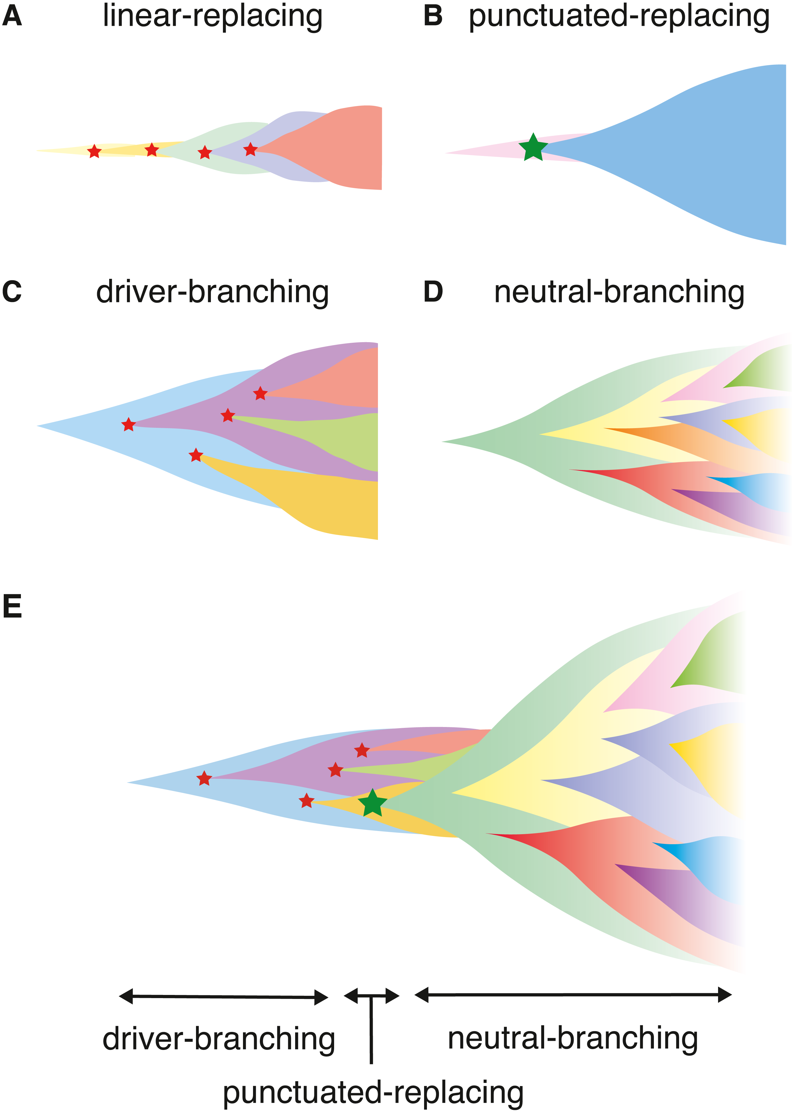 A Unified Simulation Model For Understanding The Diversity Of Cancer ...