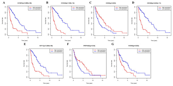 Survival analysis of seven real hub genes expression in MCL patients.