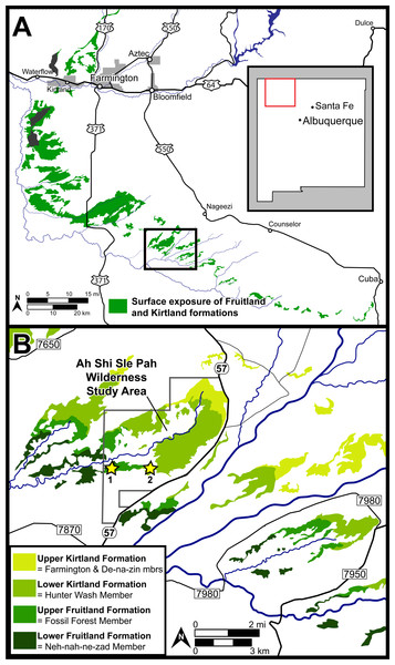 Surface exposures of the Fruitland and Kirtland formations in the San Juan Basin of northwestern New Mexico (A), with a detailed map of the region surrounding the Ah-Shi-Sle-Pah Wilderness Study Area (B).