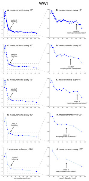 Ontogenetic trajectories of the whorl width index (WWI).