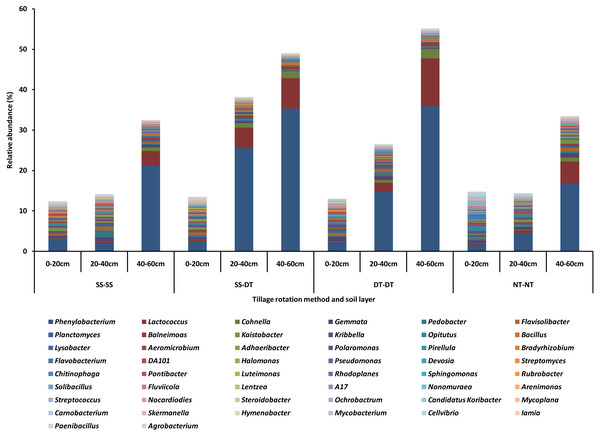 Relative abundance of bacterial genus under different tillage rotations.