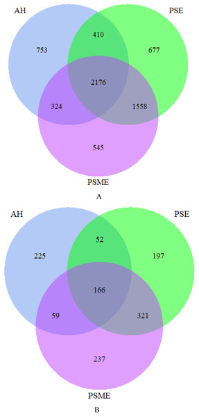 Venn diagrams of the shared and unique bacterial OTUs (A) and fungal OTUs (B).