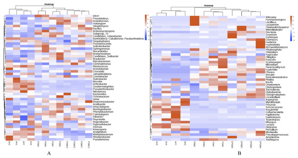 Heatmap plots of soil bacterial (A) and fungal (B) genera with relative abundances of the top 50 based the bray distance.