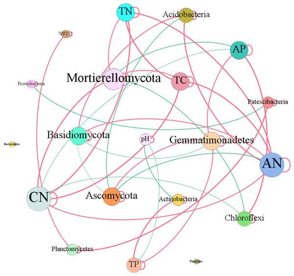 Network of co-occurring of soil characteristics and dominant bacterial and fungal phyla.