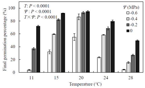 Mean (± standard error) final germination percentage of A. tenuissimum seeds under variable temperature (T = 11, 15, 20, 24, and 28 °C) and water potential (Ψ = 0, −0.2, −0.4, and −0.6 MPa) levels.
