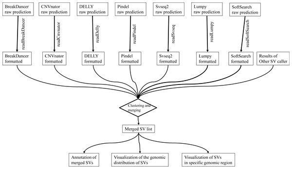 The pipeline of intansv for integrative analysis of structural variations (SV).