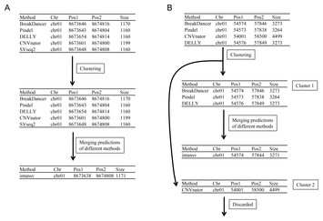 Intansv: An R Package For Integrative Analysis Of Structural Variations ...