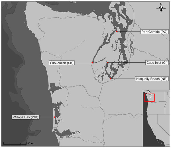 Nearshore sampling locations in Puget Sound and outer coast, Washington, USA.