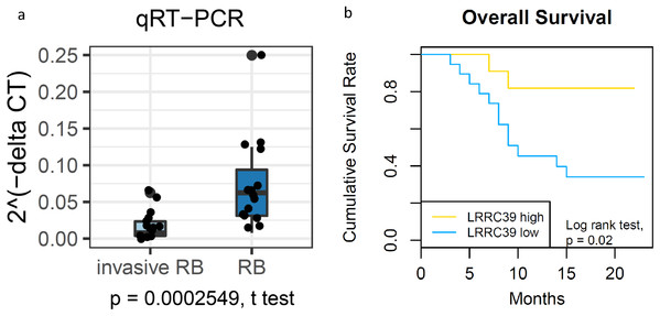 The prediction capacity of LRRC39 is validated by PCR.