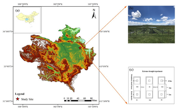 (A) Zoige peatland in the eastern part of the Tibetan Plateau with the location of the study site, Sichuan province; (B) the picture of experiment site; (C) the zoning schematic map of experiment plot.
