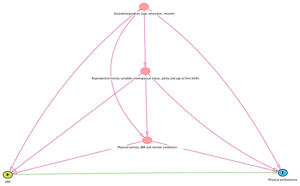 A visual representation of the conceptual framework informing the statistical analyses.