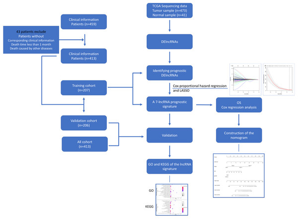 Flowchart for identifying a prognostic lncRNAs of COAD.