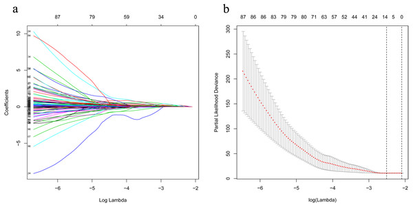 LASSO analysis identified 13 genes which are correlated to overall survival in training set.