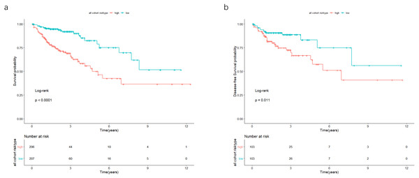 In the all cohort, the patients were split in groups of low and high risk.